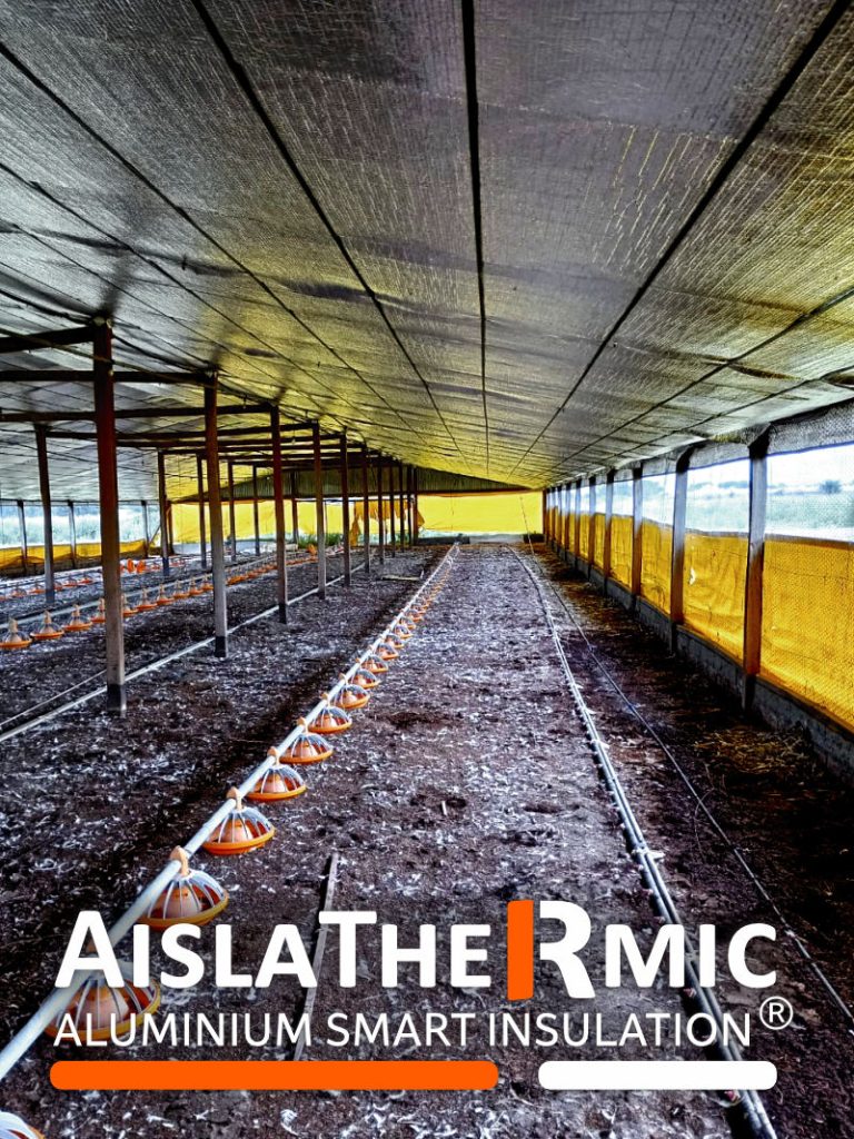 Aislathermic en galpón avícola para mejorar el confort térmico
